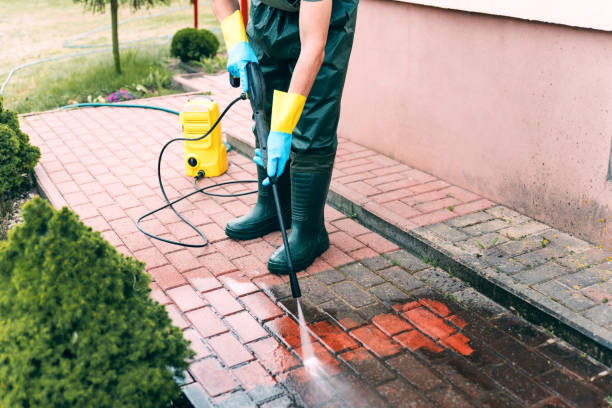 Best Roof Washing  in Washington Terrace, UT